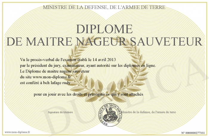 diplome maitre nageur